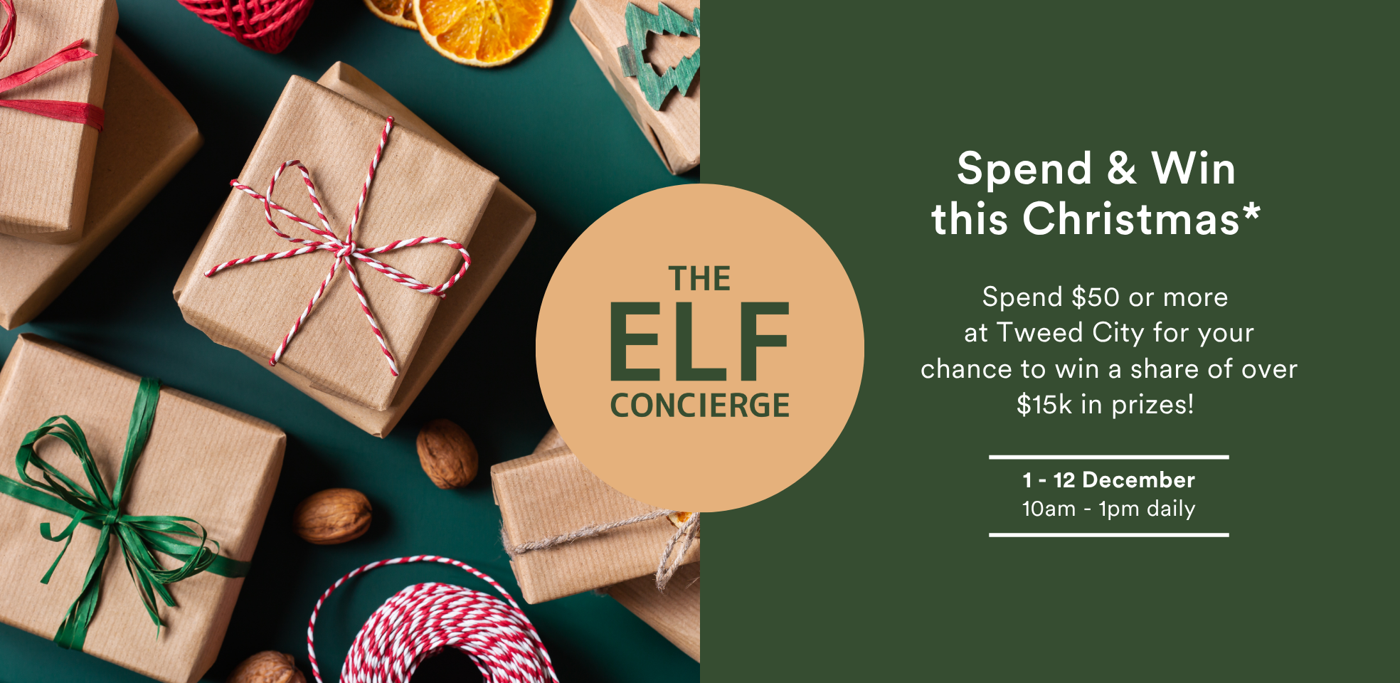 Elf Concierge Web Banner.png