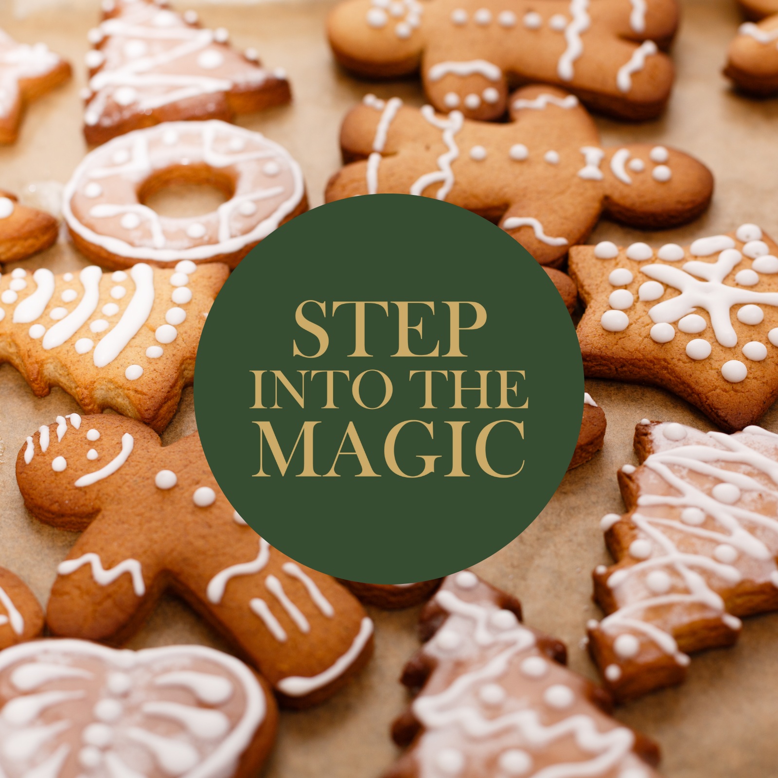 Step into Magic Mobile.png